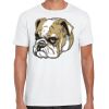 Mens Softstyle Tee Shirt Thumbnail