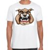 Mens Softstyle Tee Shirt Thumbnail