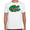Mens Softstyle Tee Shirt Thumbnail