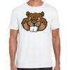 Mens Softstyle Tee Shirt Thumbnail
