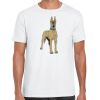 Mens Softstyle Tee Shirt Thumbnail