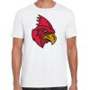 Mens Softstyle Tee Shirt Thumbnail