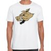 Mens Softstyle Tee Shirt Thumbnail