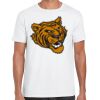 Mens Softstyle Tee Shirt Thumbnail