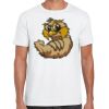 Mens Softstyle Tee Shirt Thumbnail
